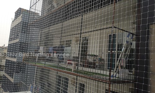 Shiv Bird Netting service  - Pest Control in Delhi, Delhi