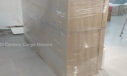 Century Cargo Movers - Packers and Movers in Vijay Nagar, Indore