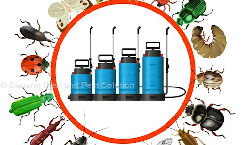 Devaraj Dust and Pest Solution - Pest Control in Vijay Nagar, Bangalore