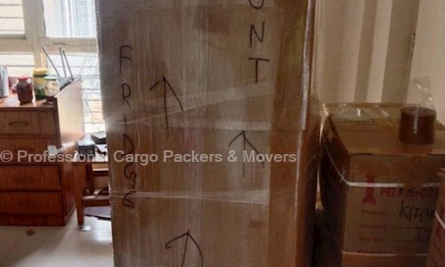 Professional Cargo Packers & Movers - Packers and Movers in Meghpar Borichi, Gandhidham