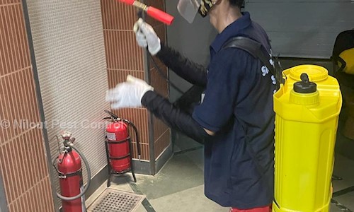 Nilout Pest Control  - Pest Control in Indirapuram, Ghaziabad