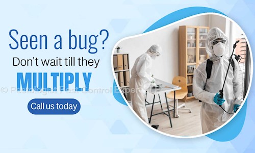 Pestologist Pest Control Expert LLP - Pest Control in Lalarpura, Jaipur