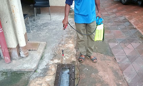 Ideal Pest Management Service - Pest Control in Mira Road, Mumbai