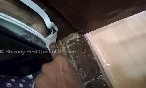 Shivaay Pest Control - Pest Control in Maloya, Chandigarh