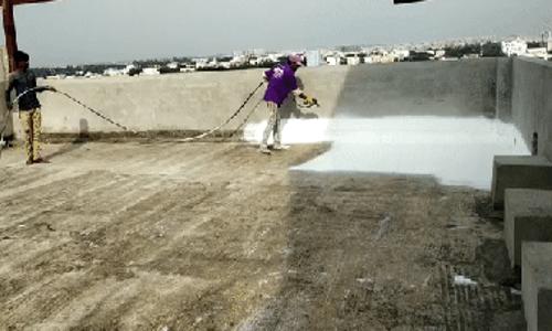 Royal pest control & waterproofing  - Pest Control in Dadabari, Kota
