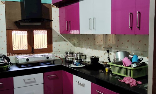 Blue star cleaning services - Pest Control in Lucknow Road, Lucknow