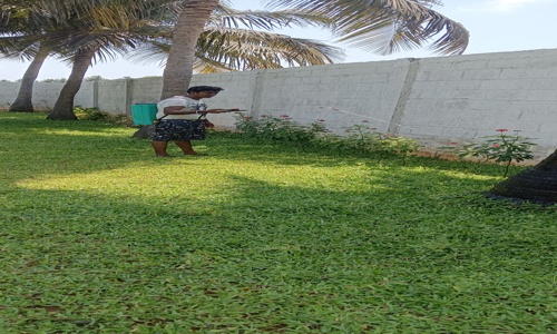 RG Enterprises - Pest Control in Porur, Chennai