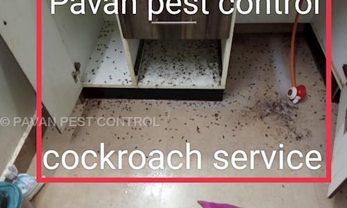 PAVAN PEST CONTROL - Pest Control in Kolathur, Chennai
