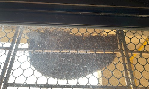 VRK PEST CONTROL SERVICES  - Pest Control in Dadar, Mumbai