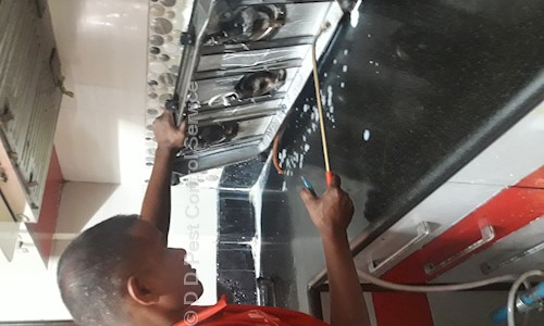 D D Pest Control Service - Pest Control in Agarpara, Kolkata