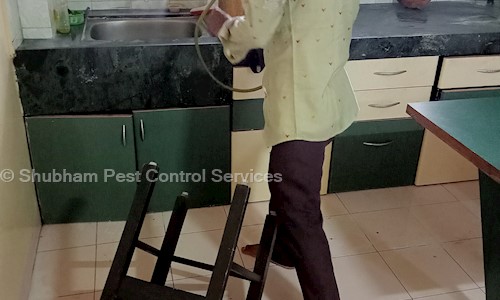Shubham Pest Control Services - Pest Control in Sangavi, Pune