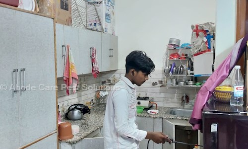 Abode Care Pest Solutions - Pest Control in Gomti Nagar, Lucknow