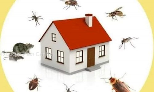 Lucky Pest Control - Pest Control in Peerzadiguda, Hyderabad