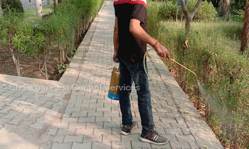 Sri Laxmi Pest Control Services - Pest Control in Shahdara, Delhi