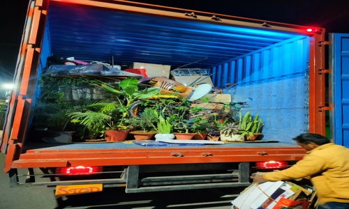 Pragya Home Packers And Movers - Packers and Movers in Harmu Road, Ranchi