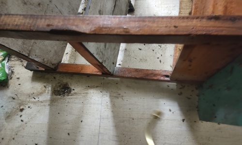 Happy Home Pest Control Services - Pest Control in Chikkadpally, Hyderabad