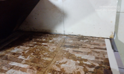 J D Pest Solutions - Pest Control in Madhyamgram, Kolkata