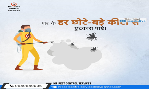 Nr Pest control services  - Pest Control in Bikaner City, Bikaner