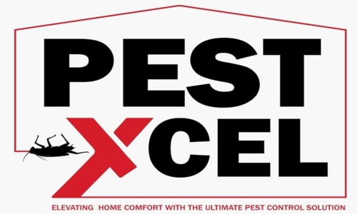 Xcel pasre control - Pest Control in Bhandup West, Mumbai