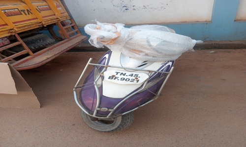 IB Packers Movers & Transport - Packers and Movers in Thendral Nagar, Trichy