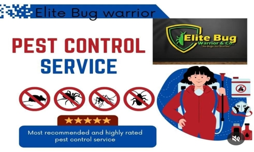 Elite Bug warrior & co - Pest Control in Keyatala, Kolkata