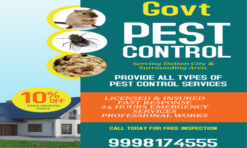 Govt Pest Control Services - Pest Control in Ramol, Ahmedabad