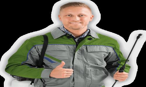 Ar Pest Control Service - Pest Control in Dum Dum, Kolkata