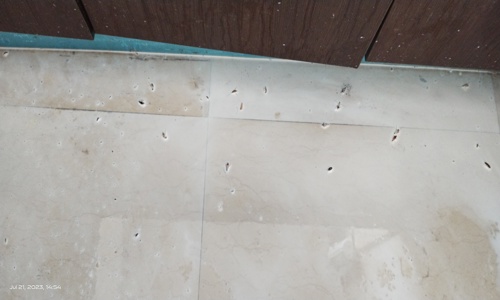 MARK PEST CONTROL SERVICES - Pest Control in Perambur, Chennai
