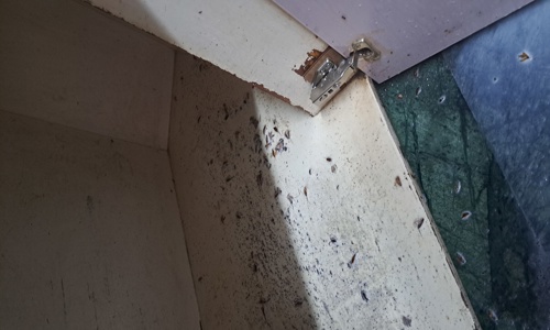 Professional Godrej Pest Control Services - Pest Control in  Basaveshwar Nagar, Bangalore
