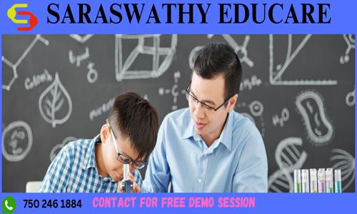 Saraswathy Educare - Home Tuitions in Pallikaranai, Chennai