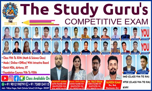 The study gurus - School Tuitions in Alpha I, Greater Noida
