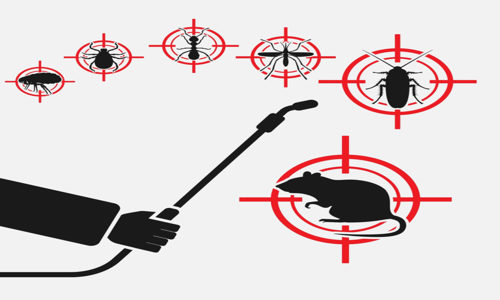 Tristar Management Services - Pest Control in Andheri West, Mumbai