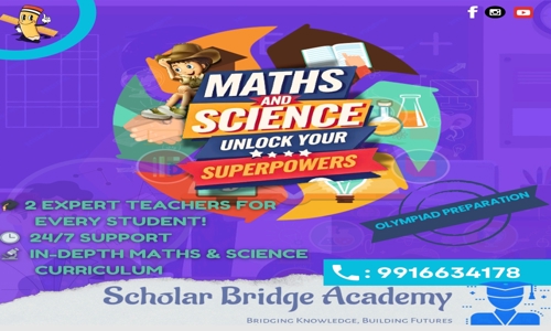 Scholar Bridge Academy - School Tuitions in Bommanahalli, Bangalore