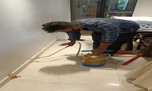 Sanjiv Yadav - Pest Control in Vasant Kunj, Delhi