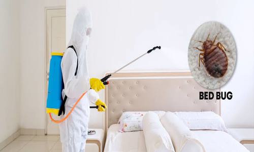 Shastik Pest Control - Pest Control in Maruthi Sevanagar, Bangalore