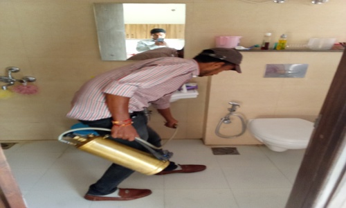 Radheshyam Pest Control And Housekeeping Man Power Service Pvt. Ltd. - Pest Control in Bijwasan, Delhi