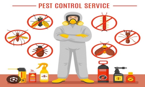 Anand - Pest Control - Pest Control in Jogeshwari East, Mumbai