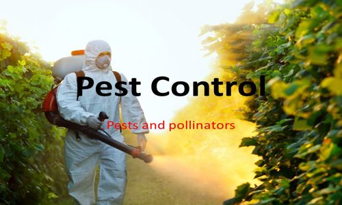 HARSHA PEST CONTROL - Pest Control in Gajuwaka, Visakhapatnam
