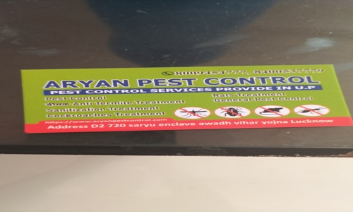 Aryan Pest Control - Pest Control in Lucknow Road, Lucknow