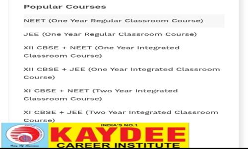 Kaydee Career Institute - School Tuitions in Vikaspuri, Delhi