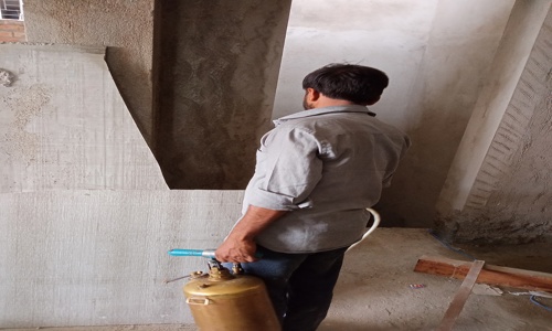 New Patliputra Pest Management - Pest Control in Patna City, Patna