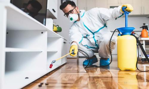 RVG Pest Control Services - Pest Control in Badarpur, Delhi