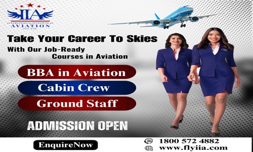 International Institute Of Aviation Private Limited - Job Training in Koregaon Park, Pune