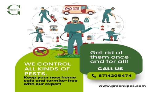 Greenx Pest Control And Bird Netting Solution - Pest Control in Kochi, Cochin