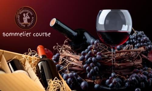 Molecular Bartending Academy - Job Training in Gandhinagar, Dharwad