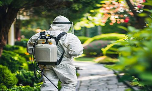 SB pest control  - Pest Control in Guwahati, Guwahati