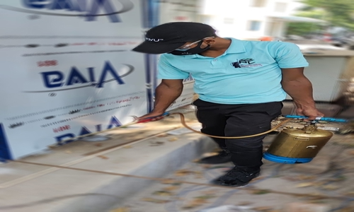 BAYAR PEST CONTROL (OPC) PVT.LTD. - Pest Control in Vrindavan Yojana, Lucknow
