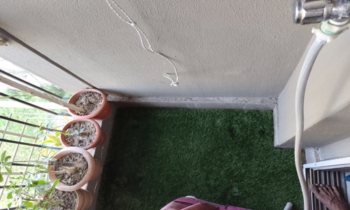 M/S Biswas Enterprises - Pest Control in Jodhpur Park, Kolkata
