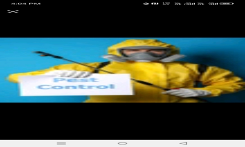 saisis services - Pest Control in Panchanai, Siliguri