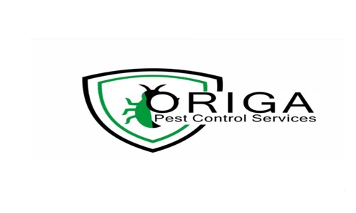 Origa pest control services - Pest Control in Mumbai Central, Mumbai